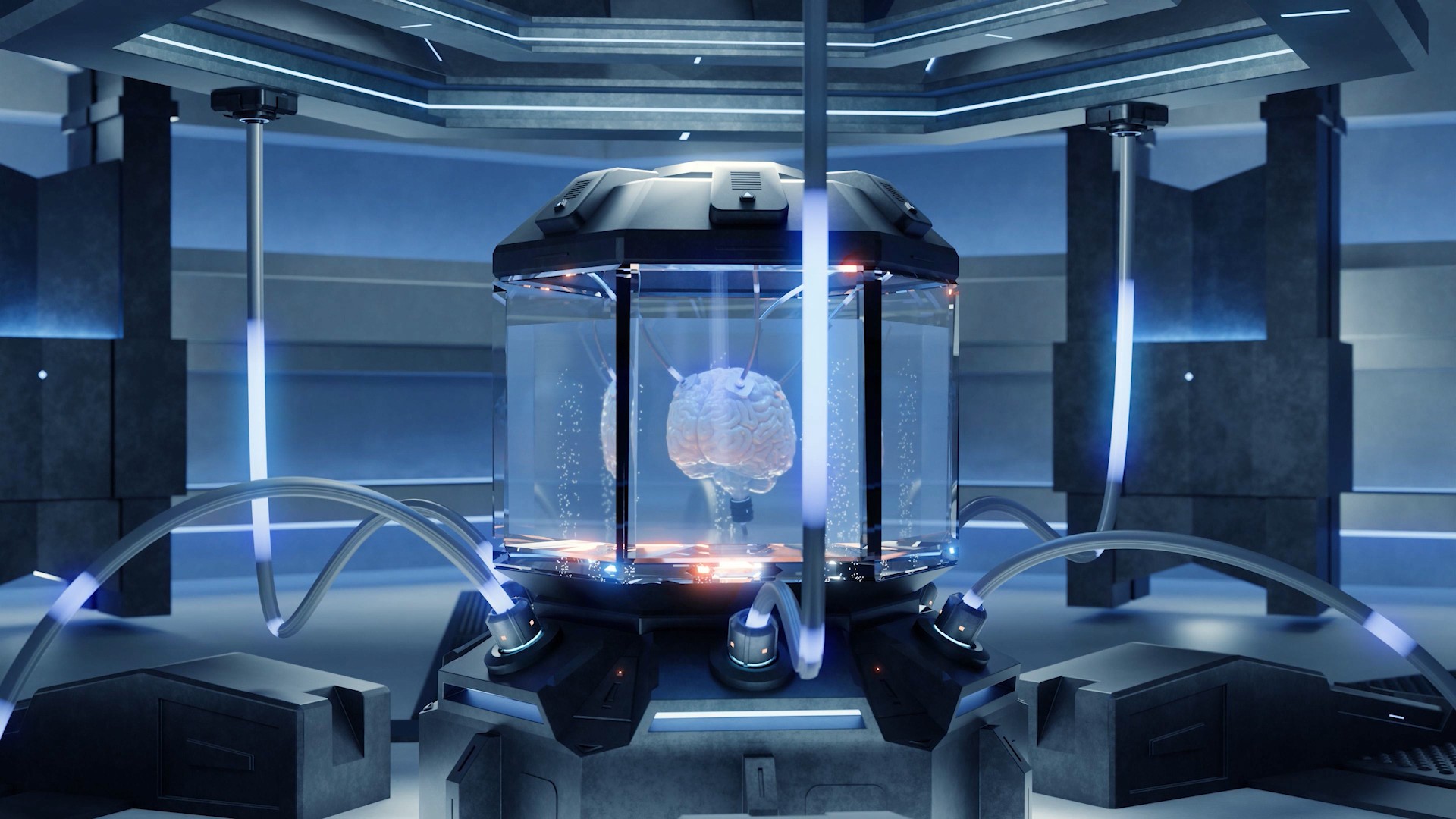 Showcase image 3