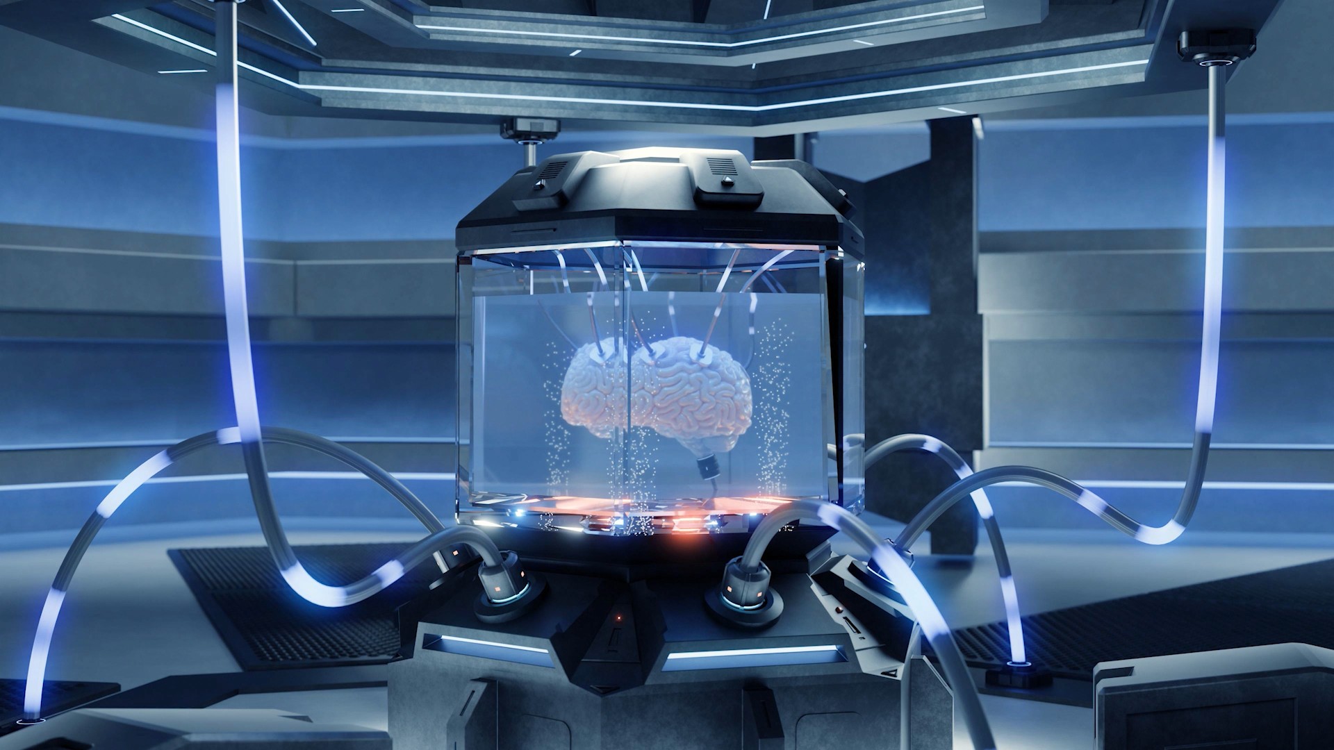 Showcase image 4