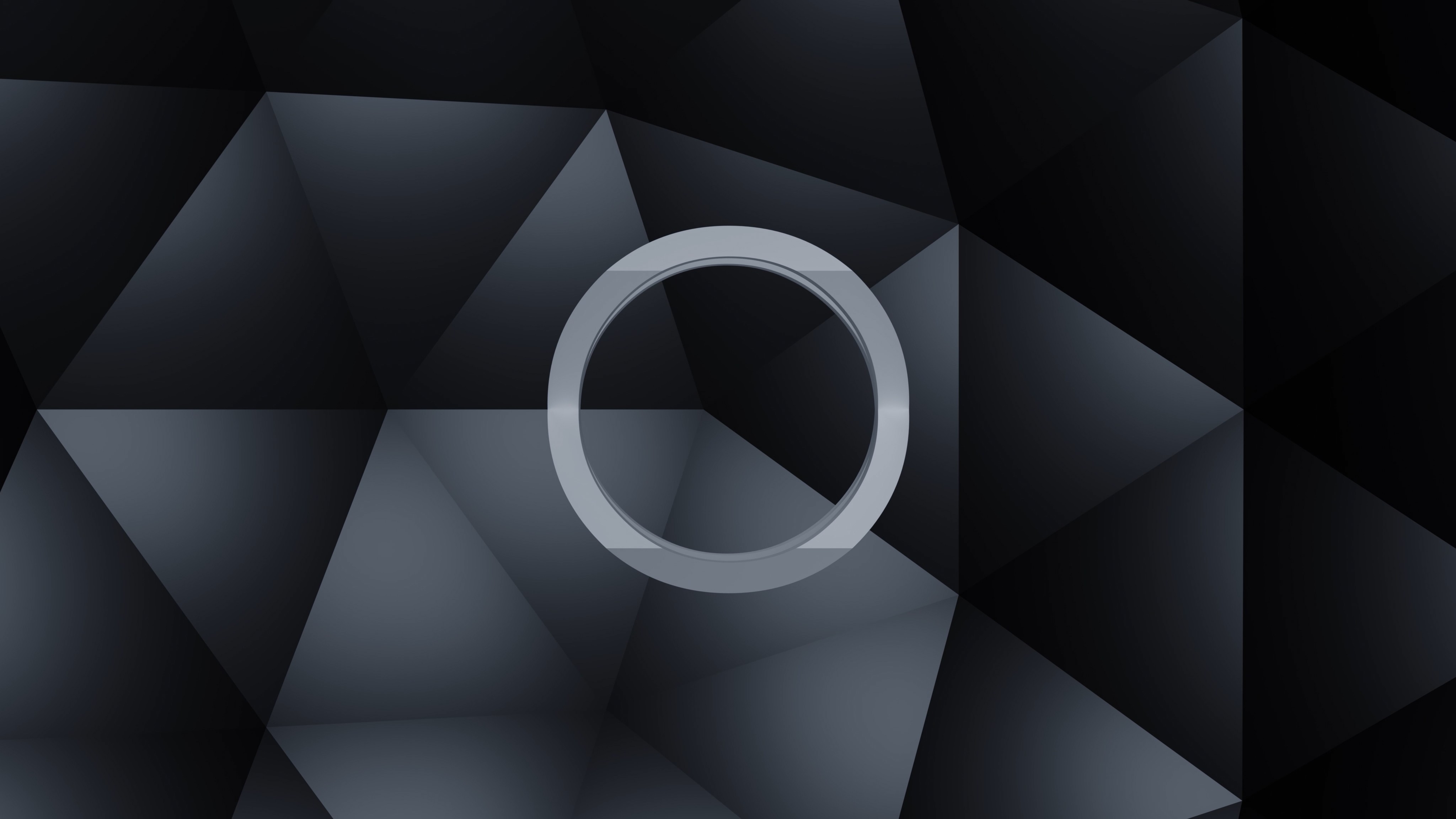 Showcase image 6