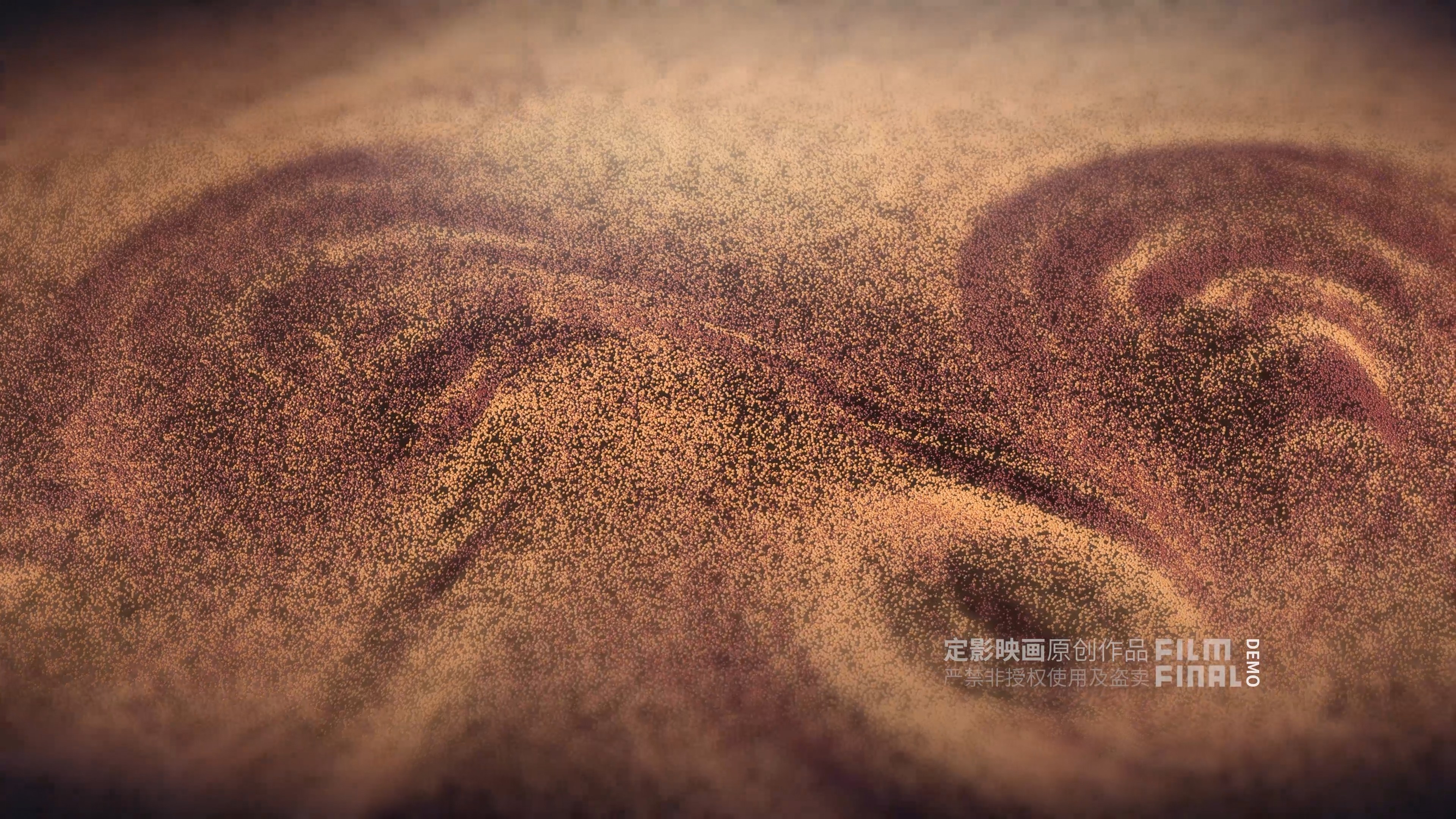 Showcase image 1