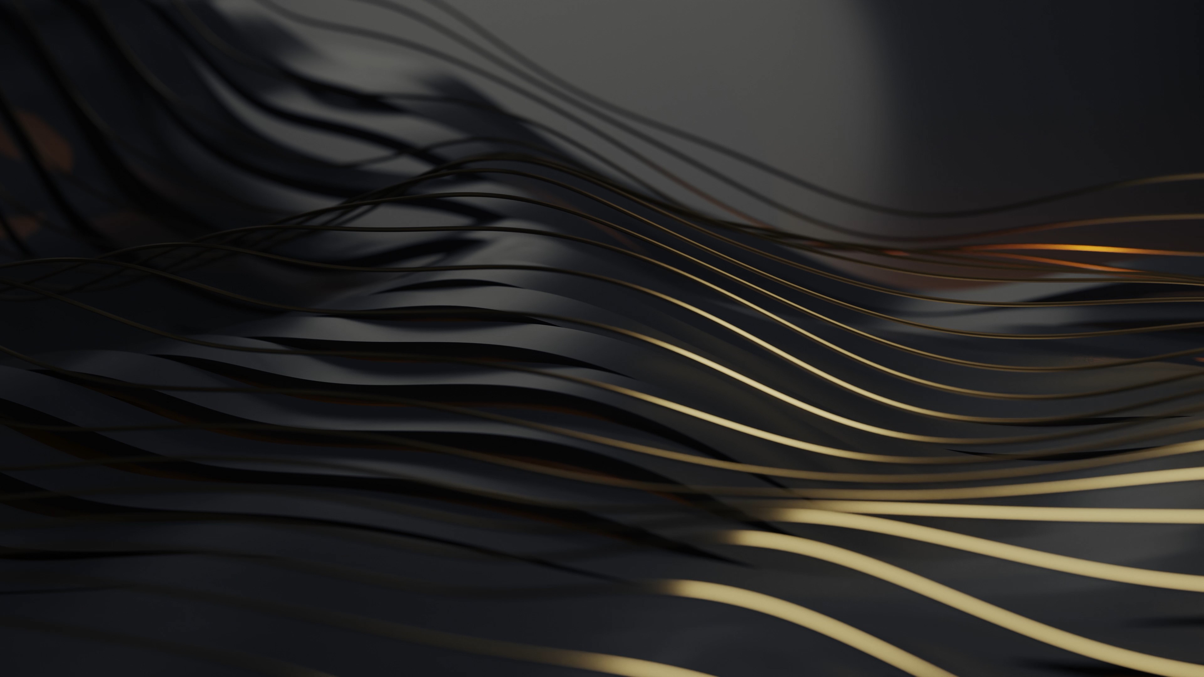 Showcase image 3