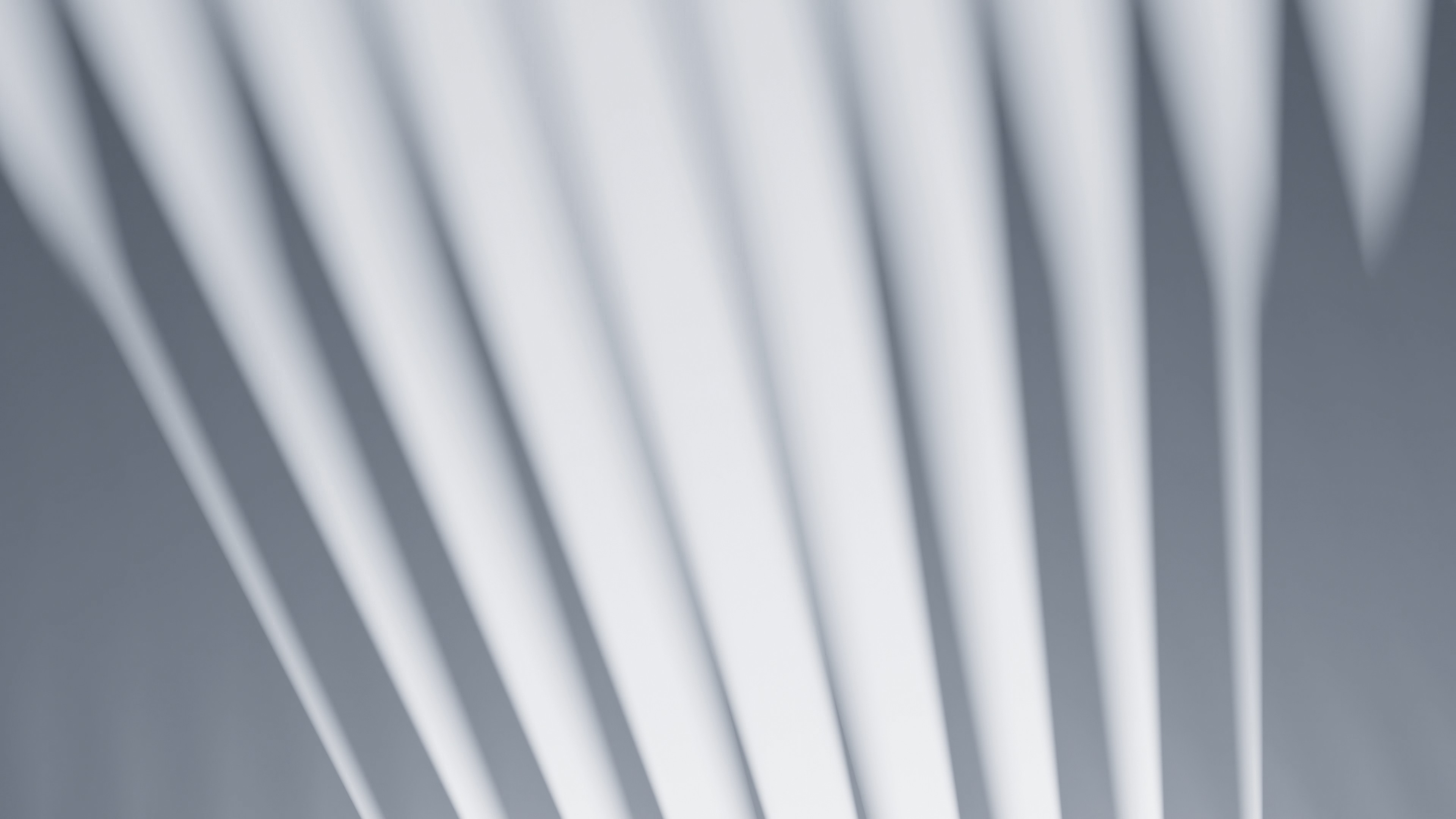 Showcase image 1