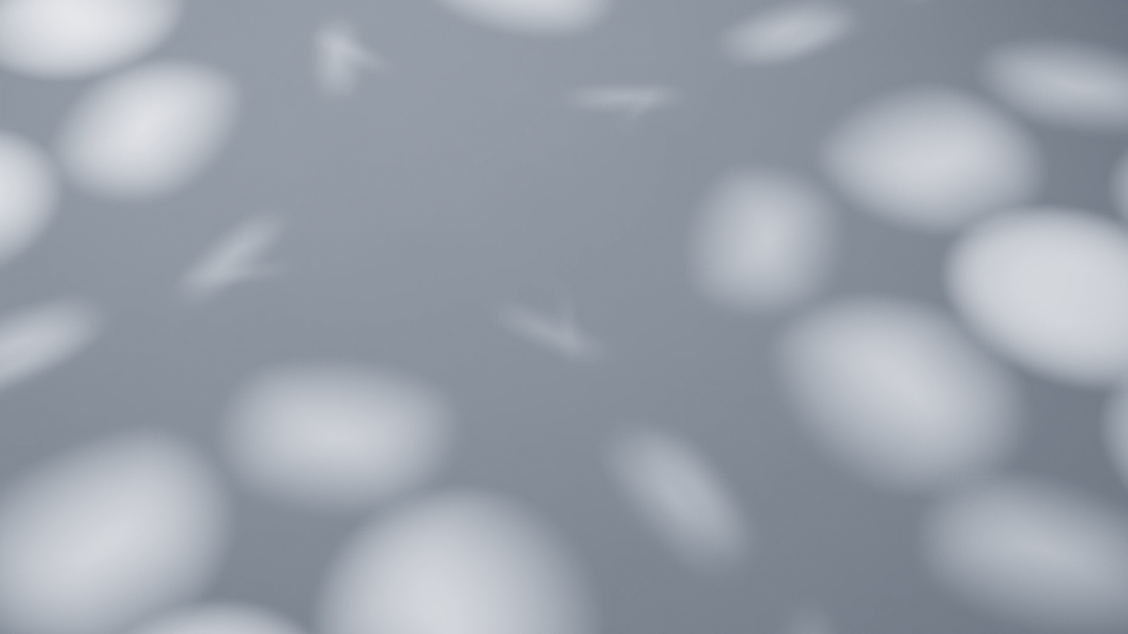 Showcase image 4