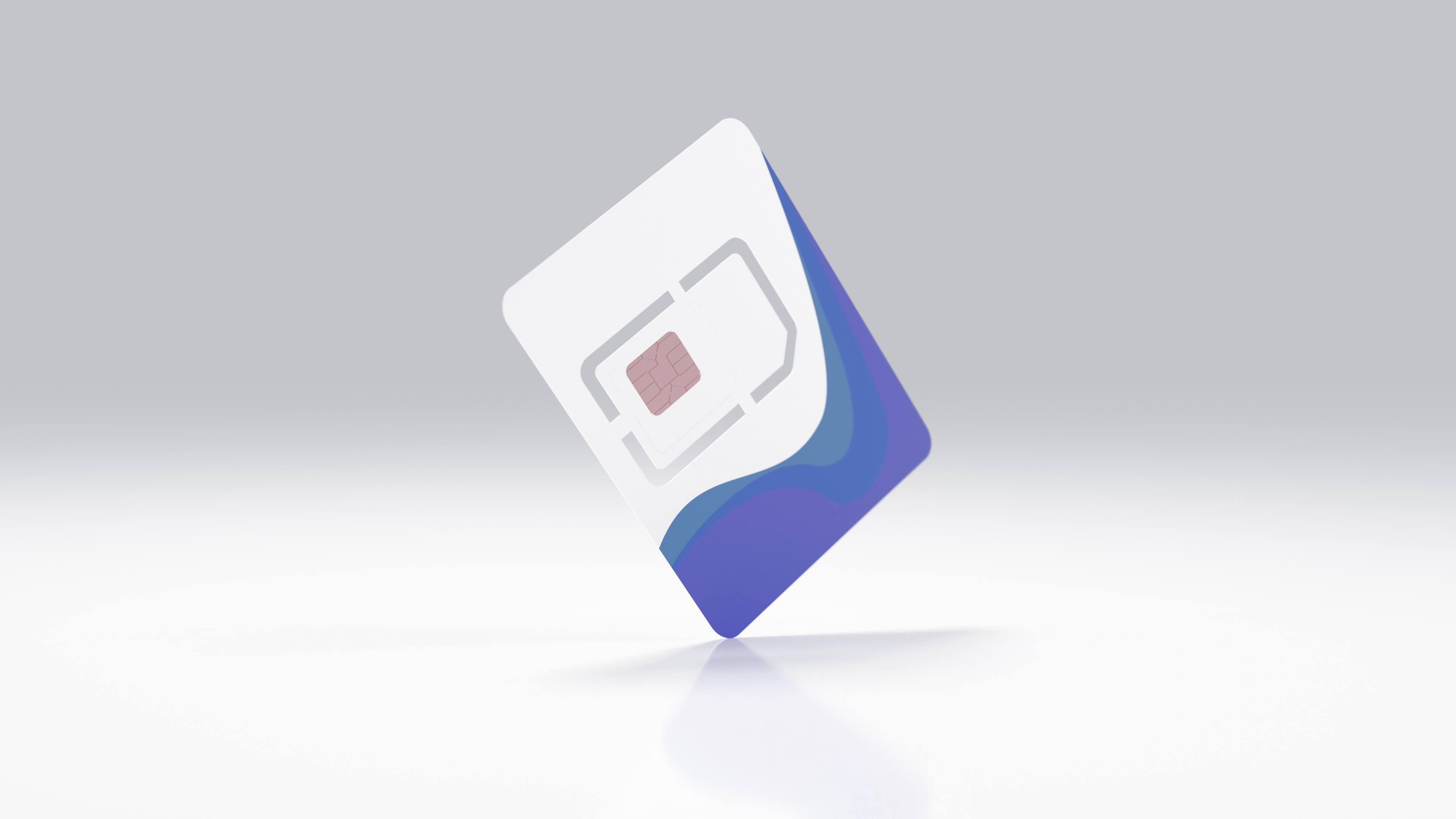 Showcase image 4