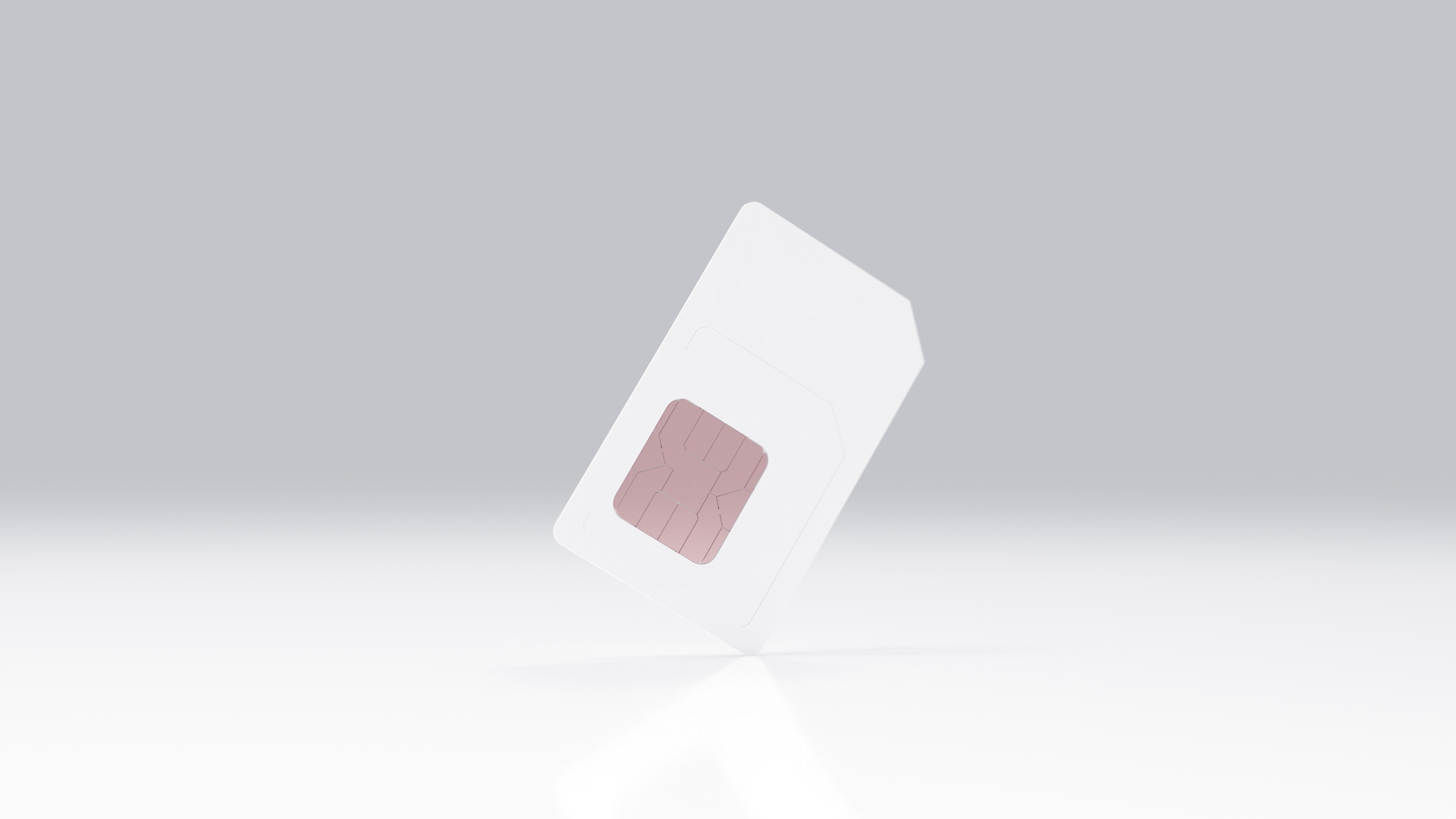 Showcase image 5