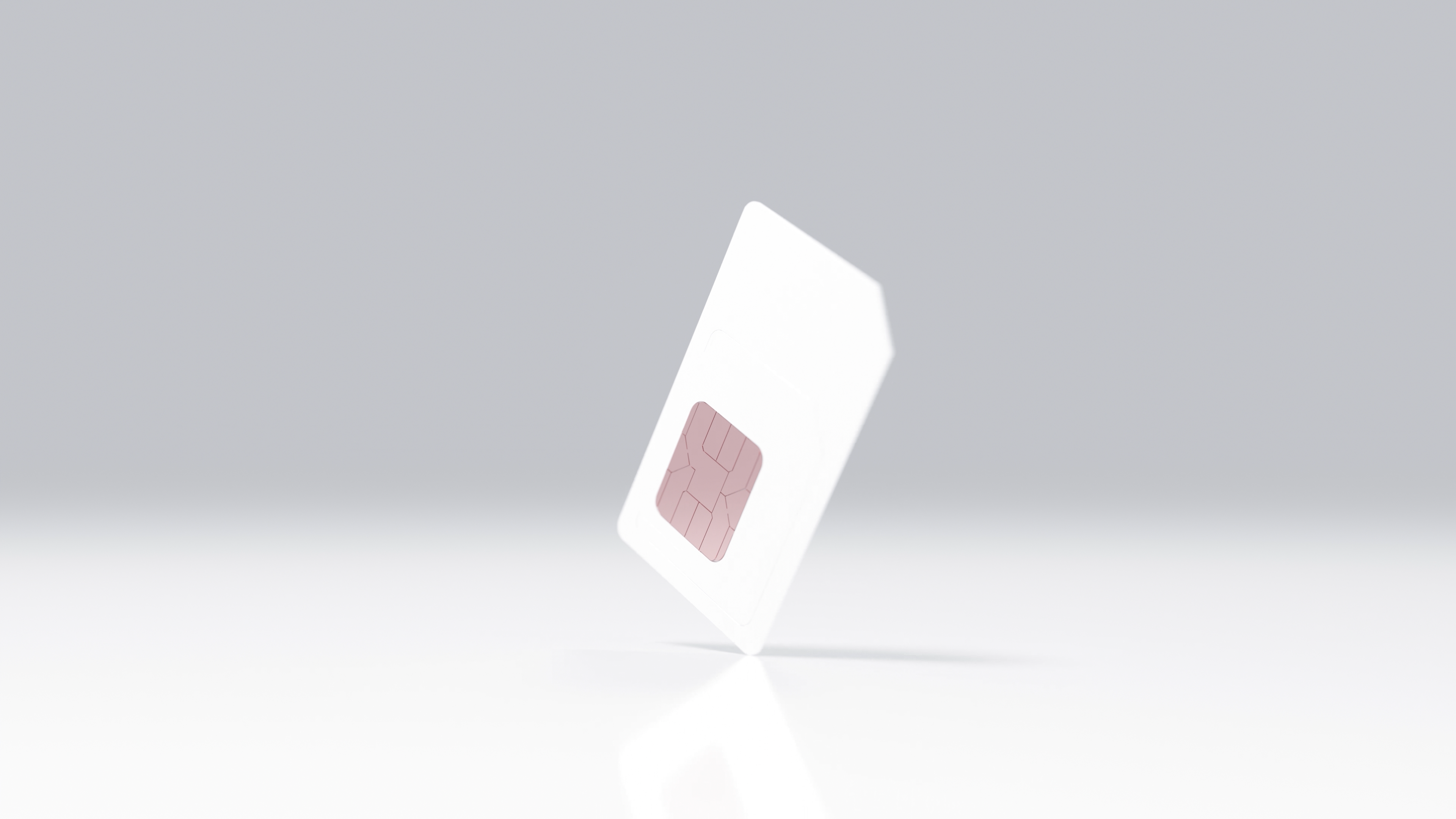 Showcase image 8