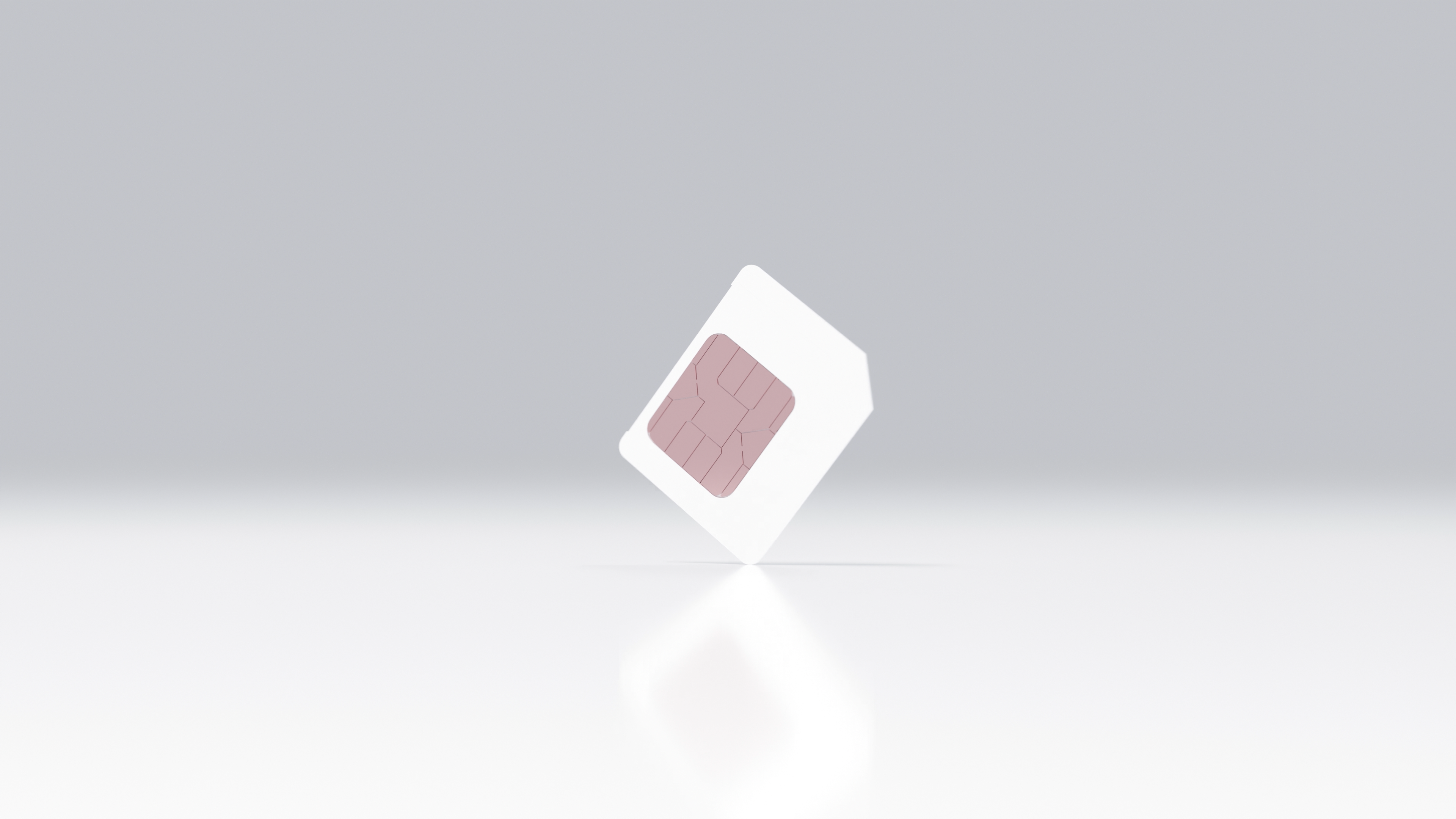 Showcase image 12