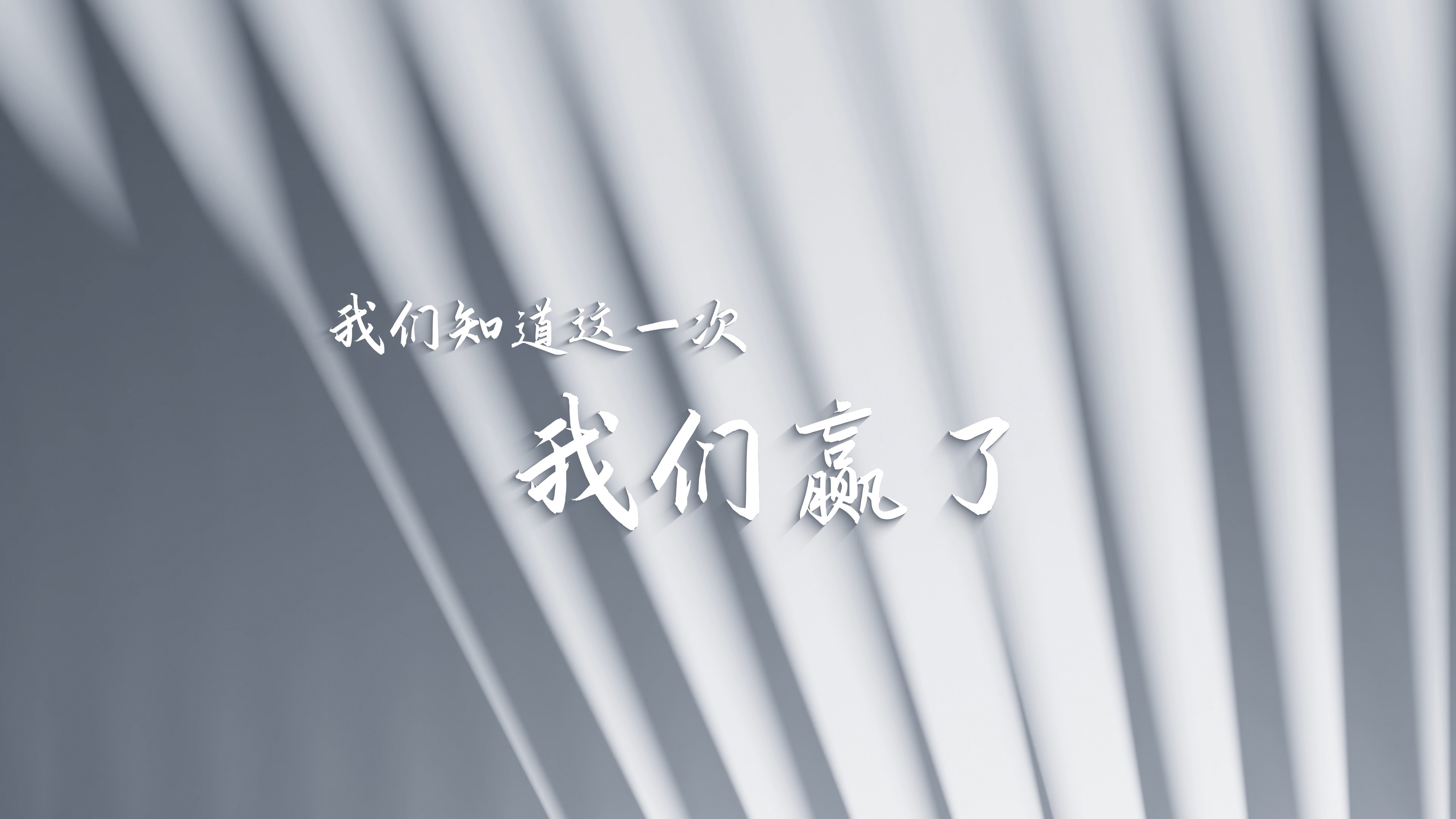 Showcase image 5