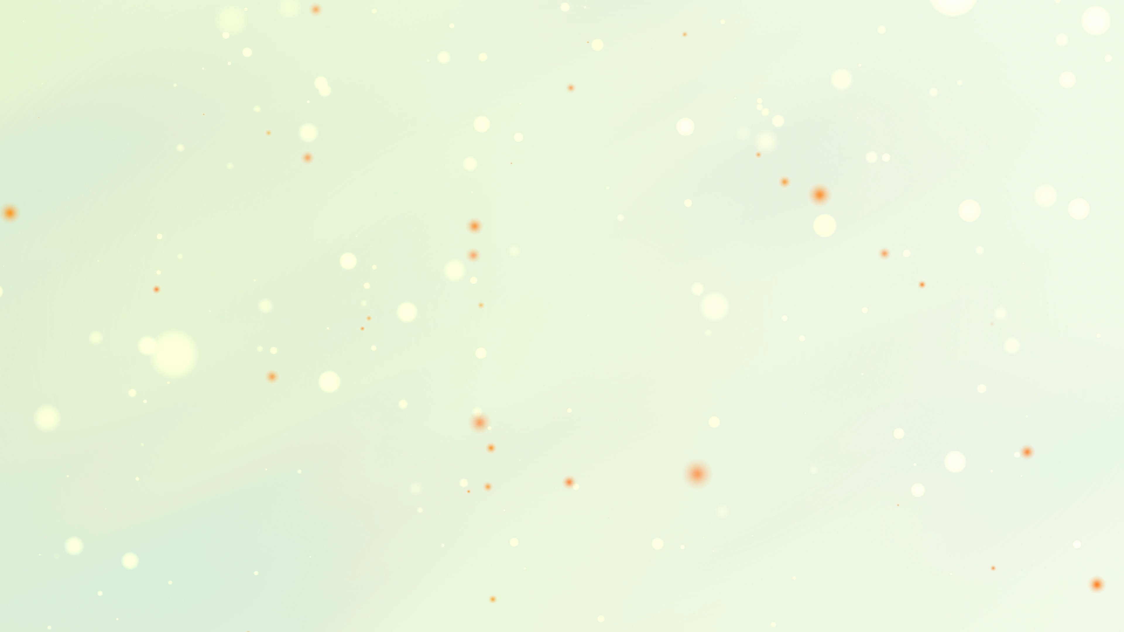 Showcase image 3