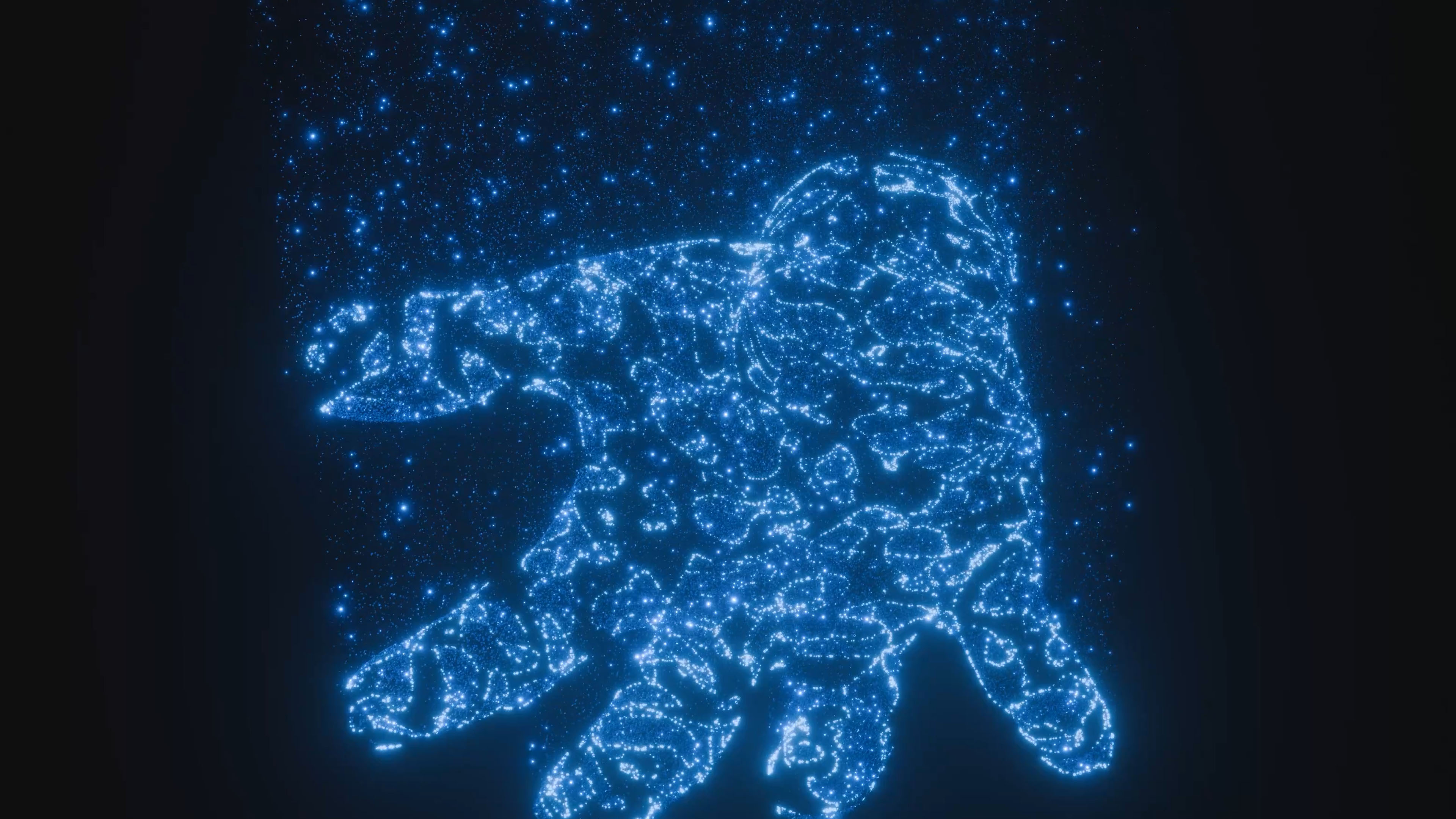 Showcase image 3