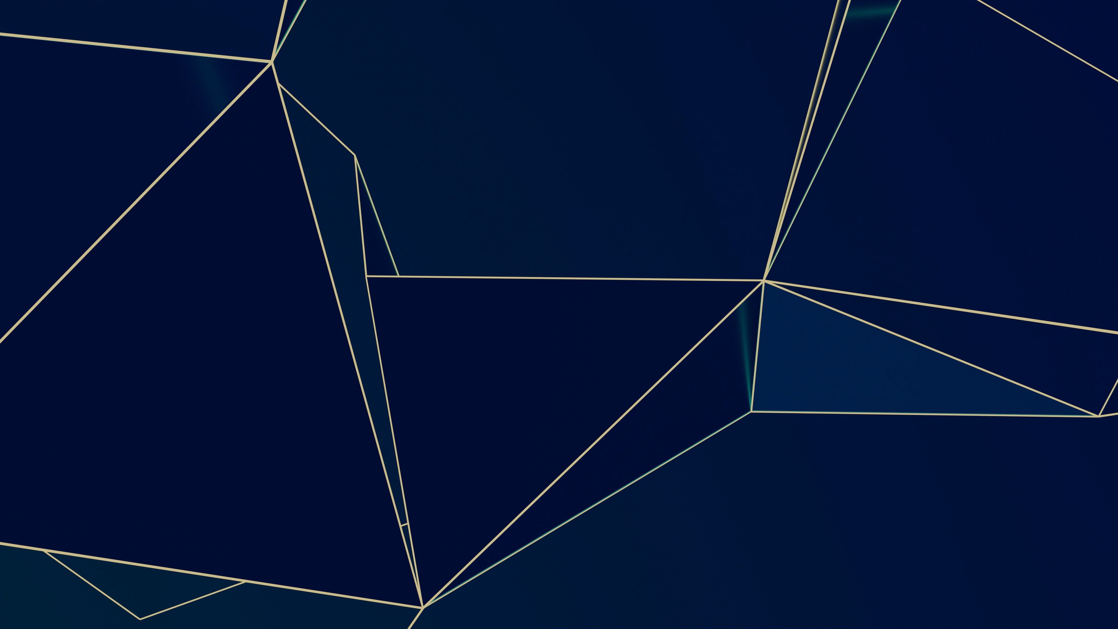 Showcase image 2